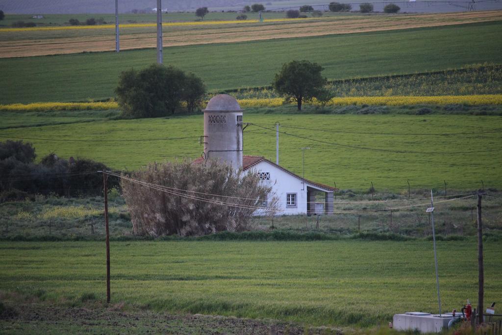 Monte Da Morena Agro-Turismo Серпа Екстер'єр фото